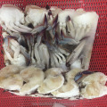 Bästa frysta halvklippta krabba blå krabba